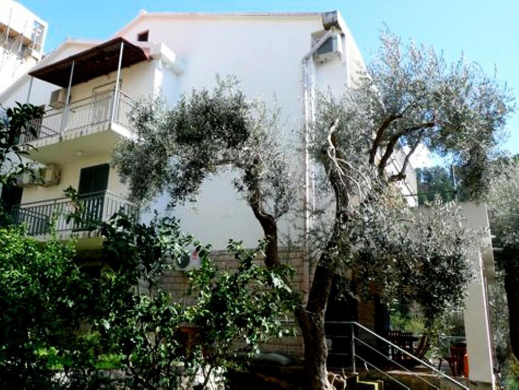 Apartments Maslina سفيتي ستيفان المظهر الخارجي الصورة